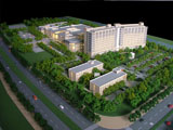 Goverment Models